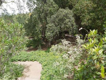HERMOSA PARCELA VERDE Y COLORIDA CON POZO Y CONSTRUCCIONES