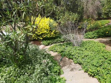 HERMOSA PARCELA VERDE Y COLORIDA CON POZO Y CONSTRUCCIONES