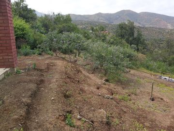 HERMOSA PARCELA VERDE Y COLORIDA CON POZO Y CONSTRUCCIONES