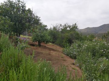 HERMOSA PARCELA VERDE Y COLORIDA CON POZO Y CONSTRUCCIONES