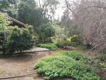 HERMOSA PARCELA VERDE Y COLORIDA CON POZO Y CONSTRUCCIONES