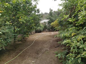 HERMOSA PARCELA VERDE Y COLORIDA CON POZO Y CONSTRUCCIONES