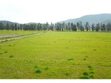 HERMOSO CAMPO DE 48 HECTAREAS PLANAS CON DERECHOS DE AGUA AGUA