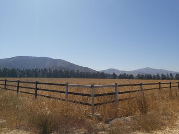 HERMOSO CAMPO DE 48 HECTAREAS PLANAS CON DERECHOS DE AGUA AGUA