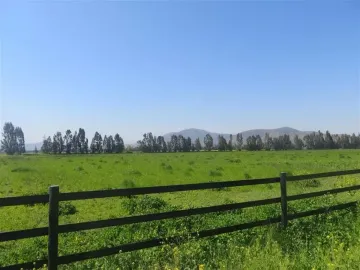 HERMOSO CAMPO DE 48 HECTAREAS PLANAS CON DERECHOS DE AGUA AGUA