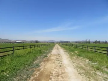HERMOSO CAMPO DE 48 HECTAREAS PLANAS CON DERECHOS DE AGUA AGUA