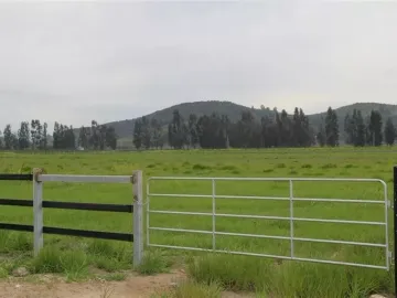 HERMOSO CAMPO DE 48 HECTAREAS PLANAS CON DERECHOS DE AGUA AGUA