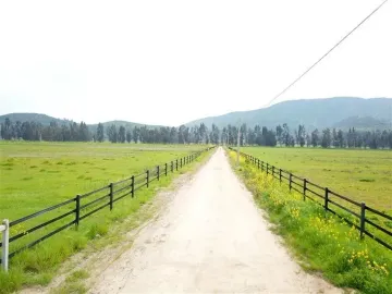 HERMOSO CAMPO DE 48 HECTAREAS PLANAS CON DERECHOS DE AGUA AGUA