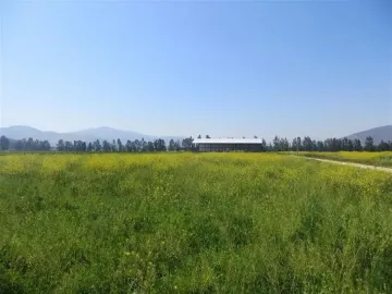 HERMOSO CAMPO DE 48 HECTAREAS PLANAS CON DERECHOS DE AGUA AGUA