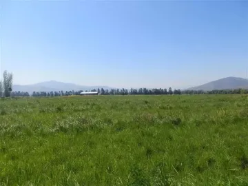 HERMOSO CAMPO DE 48 HECTAREAS PLANAS CON DERECHOS DE AGUA AGUA