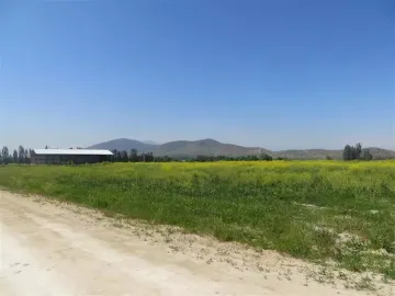 HERMOSO CAMPO DE 48 HECTAREAS PLANAS CON DERECHOS DE AGUA AGUA