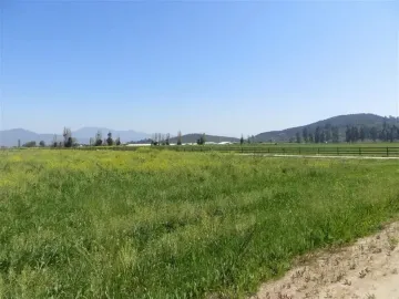 HERMOSO CAMPO DE 48 HECTAREAS PLANAS CON DERECHOS DE AGUA AGUA