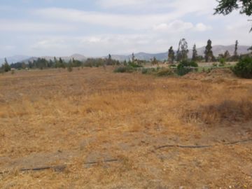HERMOSO CAMPO DE 48 HECTAREAS PLANAS CON DERECHOS DE AGUA AGUA