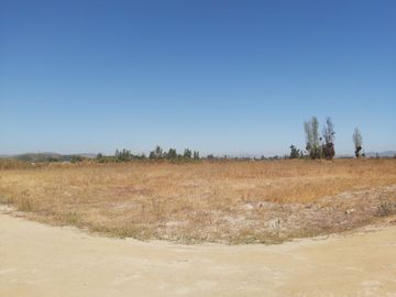 HERMOSO CAMPO DE 48 HECTAREAS PLANAS CON DERECHOS DE AGUA AGUA