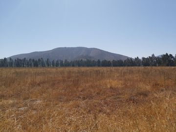 HERMOSO CAMPO DE 48 HECTAREAS PLANAS CON DERECHOS DE AGUA AGUA
