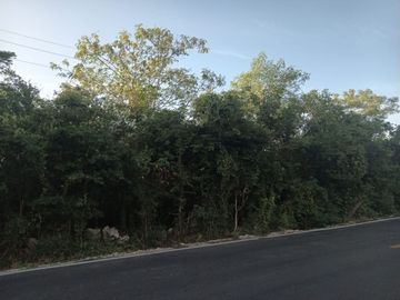 GRAN TERRENO DE UNA HECTAREA, PARA GRANDES PROYECTO