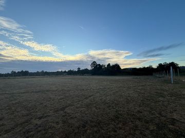 Se Vende Amplia Propiedad en Parcelación Riberas del Llollelhue, Paillaco, Región de Los Ríos.
