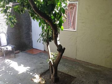 Casa para universitarios perfil para inversionistas a pasos de U. de Talca