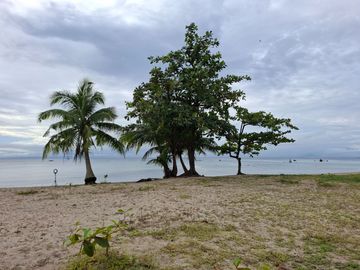 Studio Unit Beachfront Condotel Investment