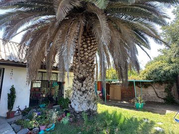 Vendo Casa San Joaquin 3d/2b Buena Conectividad¡¡¡¡¡