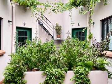 Renta departamento amueblado para 1 persona, en colonia Álamos