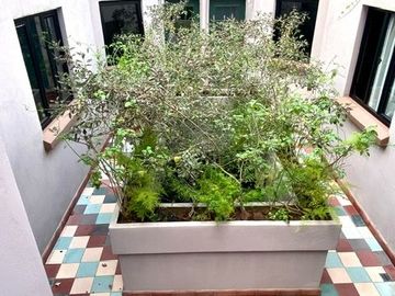 Renta departamento amueblado para 1 persona, en colonia Álamos