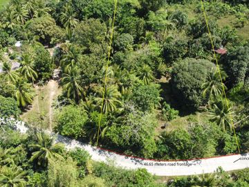 2,239 sqm farm lot with fruit-bearing trees for sale near the town of Jordan, Guimaras