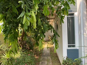 House for sale, Siwalee Choeng Doi, with furniture and electrical appliances. Ready to move in