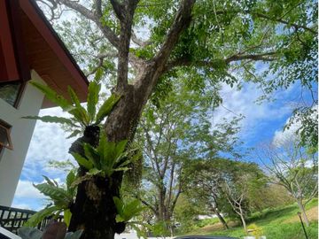 HOUSE AND LOT FOR SALE❗️❗️ WEDGEWOODS SUBDIVISION BY SAN MIGUEL PROPERTIES, INC.❗️