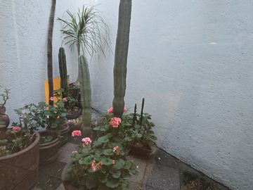 Casa en condominio, en venta, en Av. San Francisco, San Jerónimo, Magdalena Contreras, Cdmx