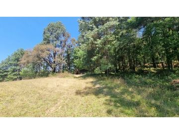 PROYECTO NUEVO EN VENTA, AMENTO
