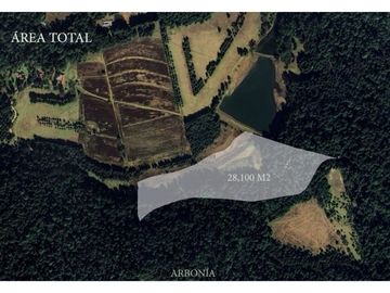 PROYECTO NUEVO EN VENTA, AMENTO