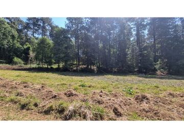 PROYECTO NUEVO EN VENTA, AMENTO