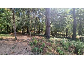 PROYECTO NUEVO EN VENTA, AMENTO