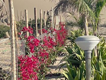 Venta De Casa En Condominio Acca Paracas