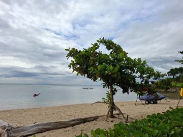 1BR Beachfront Condotel Investment in Calatagan Batangas