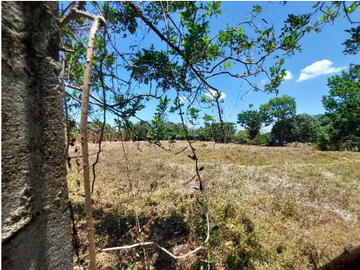 CS | 5 Hectares Lot For Sale in Dasmarinas City, Cavite