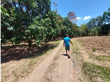 CS | 5 Hectares Lot For Sale in Dasmarinas City, Cavite