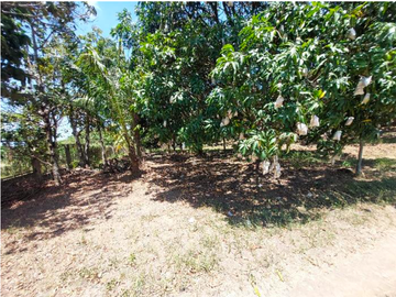 CS | 5 Hectares Lot For Sale in Dasmarinas City, Cavite