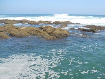 Departamento en Venta en Veracruz Col. Playa Linda Veracruz.