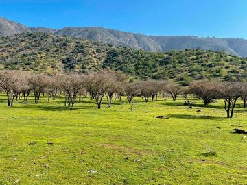 TERRENO 150HA OPORTUNIDAD AGUAS INSCRITAS LOS GUINDOS MELIPILLA