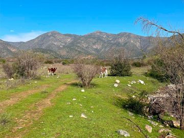 TERRENO 150HA OPORTUNIDAD AGUAS INSCRITAS LOS GUINDOS MELIPILLA