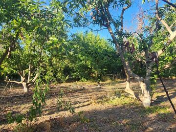 EN VENTA TERRENO UBICADO EN COMUNIDAD AGRICOLA PUNITAQUI (LA HIGUERA DE PUNITAQUI)