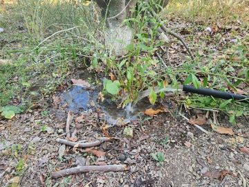 EN VENTA TERRENO UBICADO EN COMUNIDAD AGRICOLA PUNITAQUI (LA HIGUERA DE PUNITAQUI)