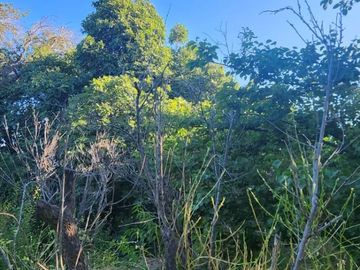 EN VENTA TERRENO UBICADO EN COMUNIDAD AGRICOLA PUNITAQUI (LA HIGUERA DE PUNITAQUI)