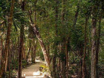 Vista verde garantizada! Exclusiva Propiedad de 2 recámaras con Jardín y Alberca en Luum Zama, Aldea Zama