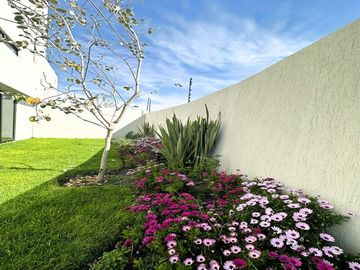 Casa de una Planta en el Querétaro Moderno