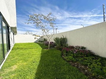 Casa de una Planta en el Querétaro Moderno