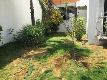 Casa con vocación comercial o residencial sobre avenida de alto flujo.