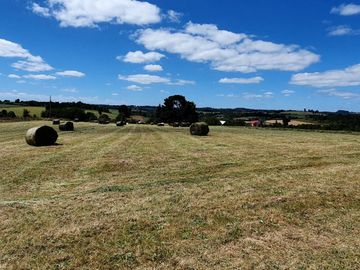 Campo en Puerto Varas, Santa Bárbara, Región de Los Lagos